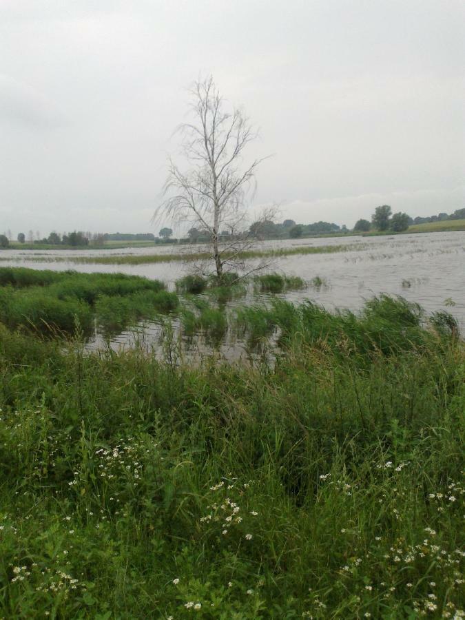 Apartments Zum Brauergang Garz  Zewnętrze zdjęcie